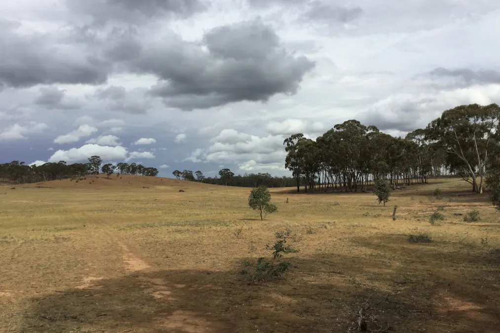 . Burkes Flat- Wehla Road, Burkes Flat, VIC, 3475 - Image 3