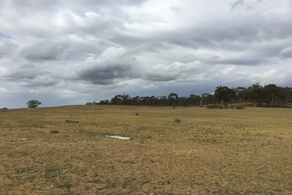 . Burkes Flat- Wehla Road, Burkes Flat, VIC, 3475 - Image 4