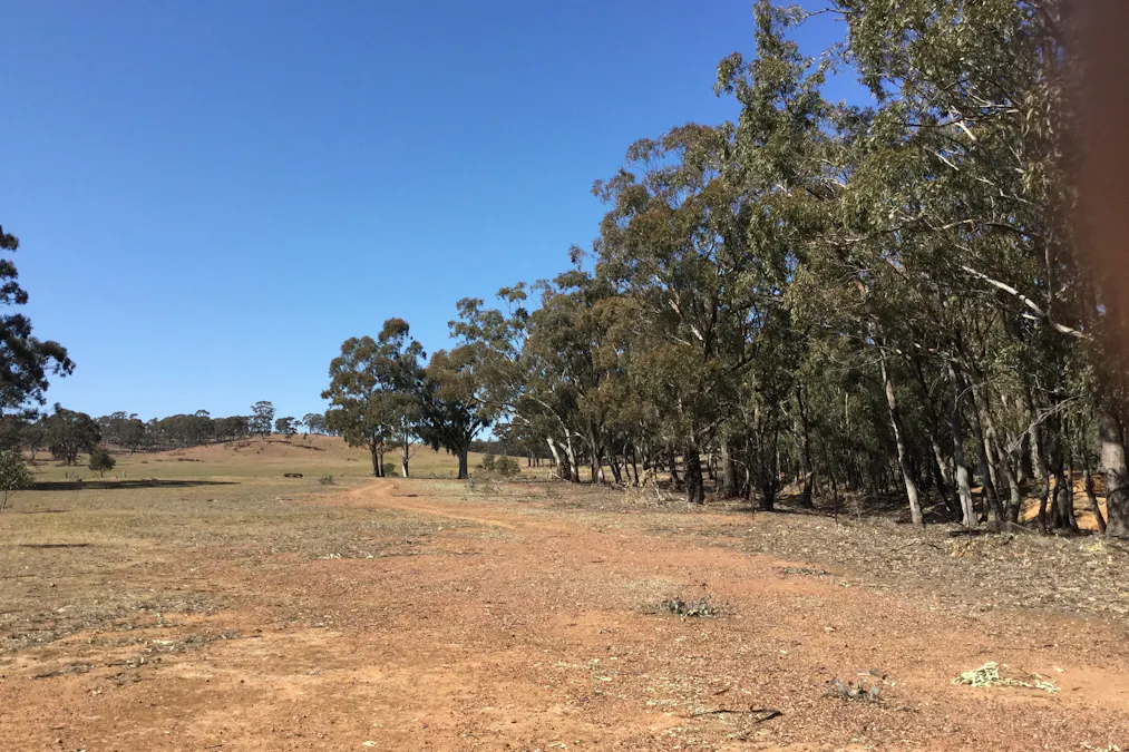 . Burkes Flat- Wehla Road, Burkes Flat, VIC, 3475 - Image 5