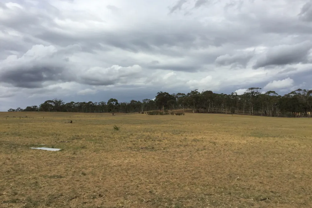 . Burkes Flat- Wehla Road, Burkes Flat, VIC, 3475 - Image 6