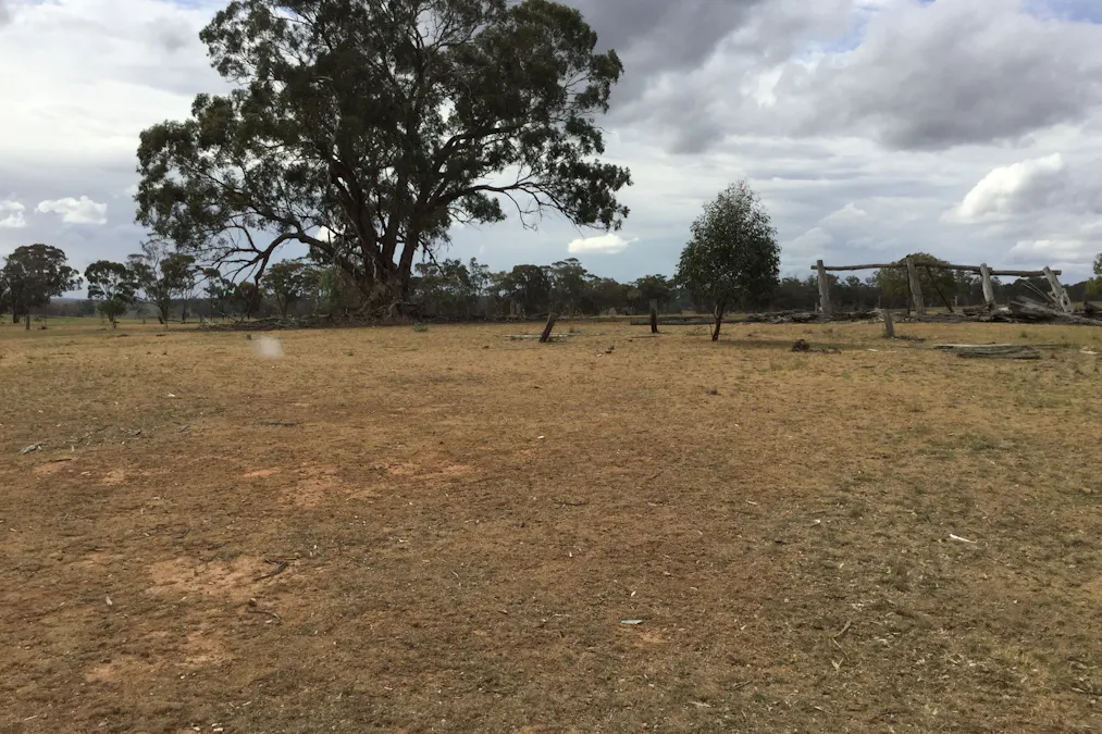 . Burkes Flat- Wehla Road, Burkes Flat, VIC, 3475 - Image 7