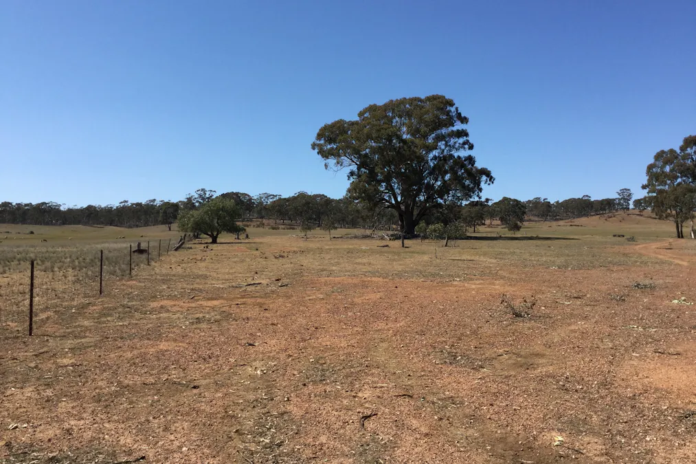 . Burkes Flat- Wehla Road, Burkes Flat, VIC, 3475 - Image 8