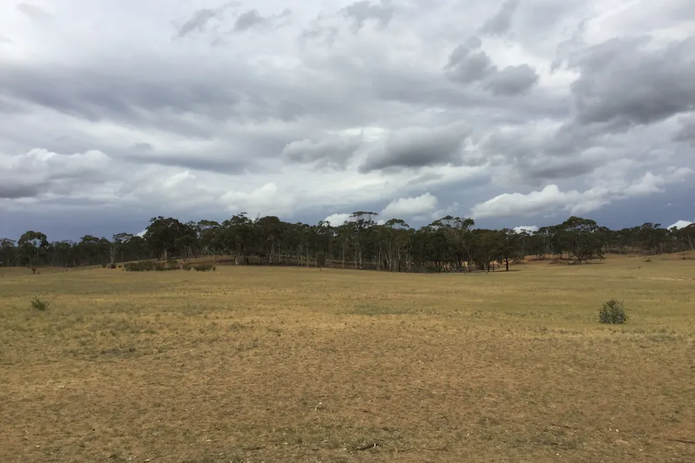 . Burkes Flat- Wehla Road, Burkes Flat, VIC, 3475 - Image 9