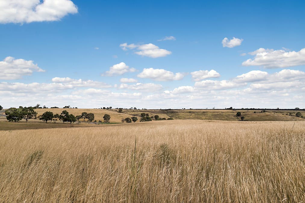 245 Konagaderra Road, Oaklands Junction, VIC, 3063 - Image 2