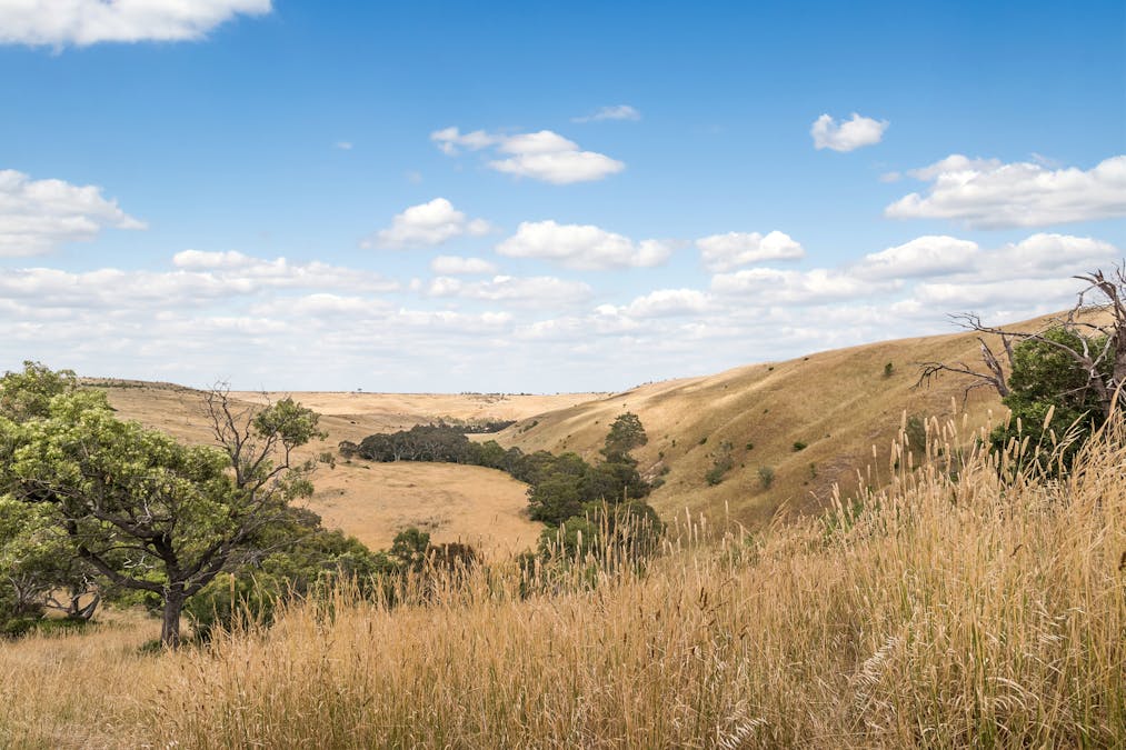 245 Konagaderra Road, Oaklands Junction, VIC, 3063 - Image 3