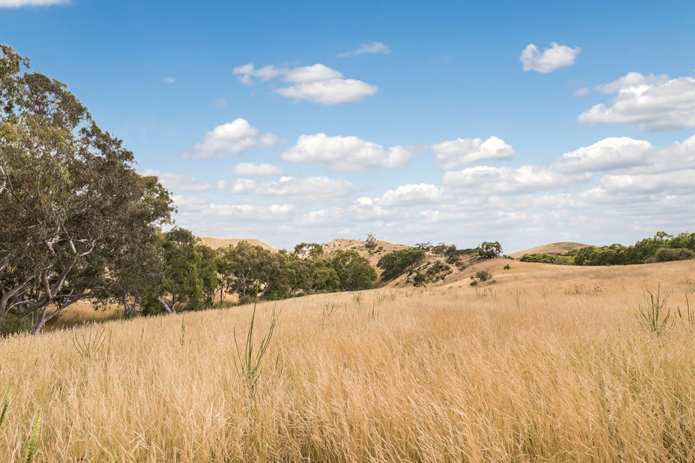245 Konagaderra Road, Oaklands Junction, VIC, 3063 - Image 4