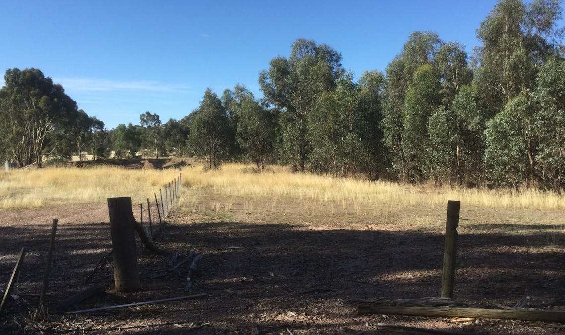 169 Ponderosa Road, Bealiba, VIC, 3475 - Image 3