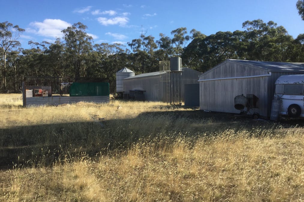 169 Ponderosa Road, Bealiba, VIC, 3475 - Image 4