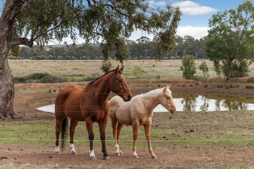 830 Upper Goulburn Road, Tallarook, VIC, 3659 - Image 15