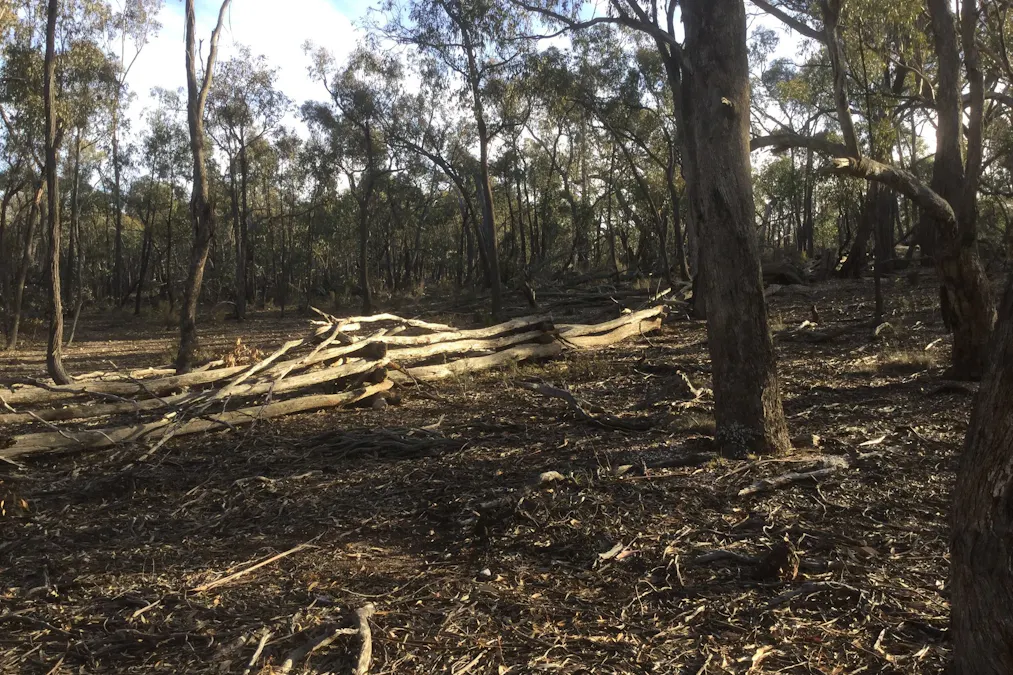 . Stuart Mill Low Road, Carapooee, VIC, 3477 - Image 4