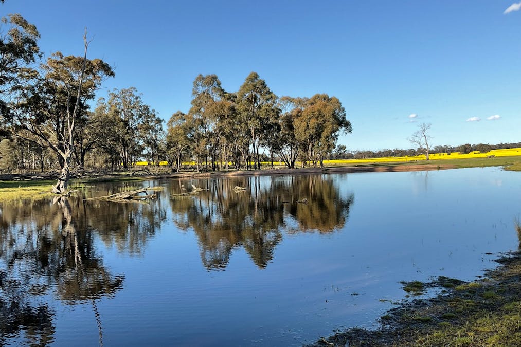 . Archdale Road, St Arnaud, VIC, 3478 - Image 6
