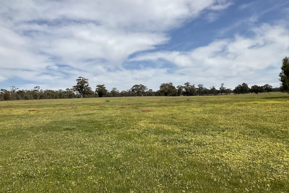 . Archdale Road, St Arnaud, VIC, 3478 - Image 7