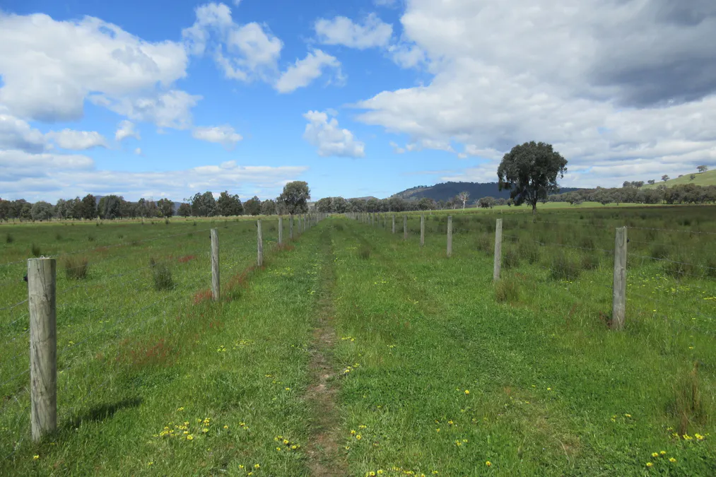 Molyullah-Tatong Road, Molyullah, VIC, 3673 - Image 11