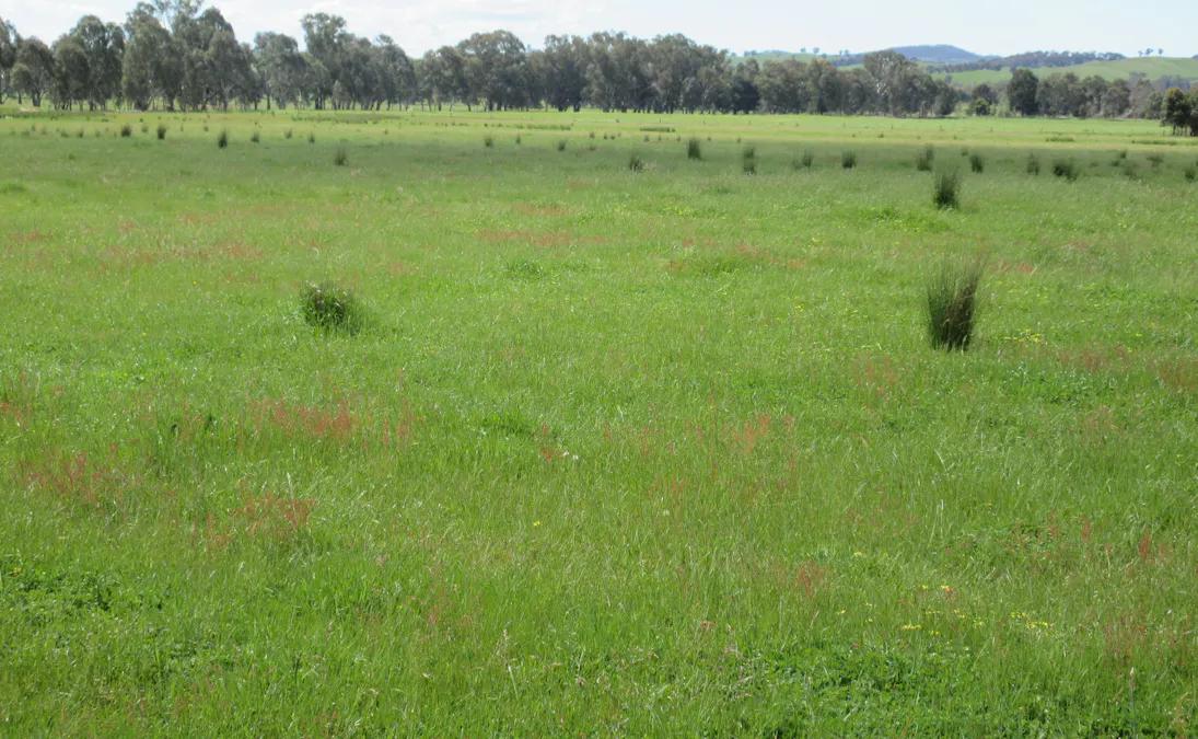 Molyullah-Tatong Road, Molyullah, VIC, 3673 - Image 12