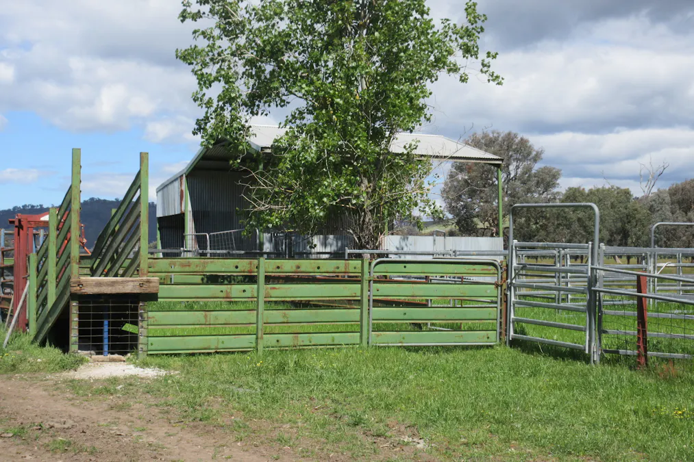 Molyullah-Tatong Road, Molyullah, VIC, 3673 - Image 13
