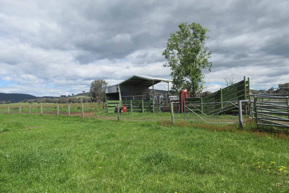 Molyullah-Tatong Road, Molyullah, VIC, 3673 - Image 15