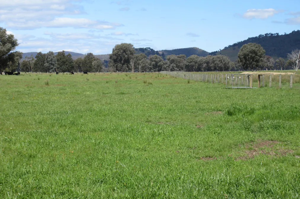 Molyullah-Tatong Road, Molyullah, VIC, 3673 - Image 16