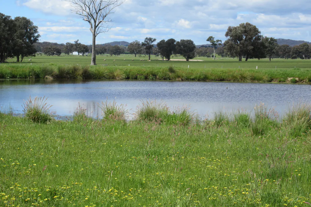 Molyullah-Tatong Road, Molyullah, VIC, 3673 - Image 3