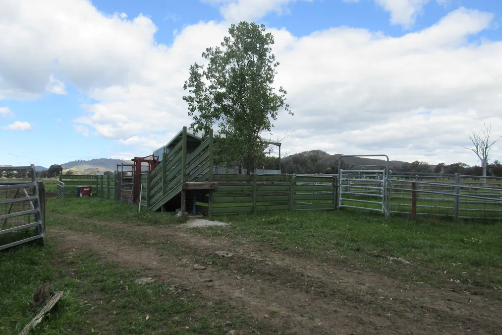 Molyullah-Tatong Road, Molyullah, VIC, 3673 - Image 4