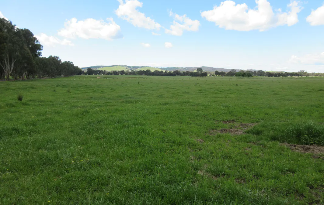 Molyullah-Tatong Road, Molyullah, VIC, 3673 - Image 6