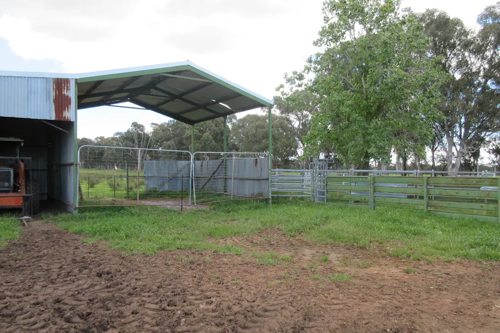 Molyullah-Tatong Road, Molyullah, VIC, 3673 - Image 7