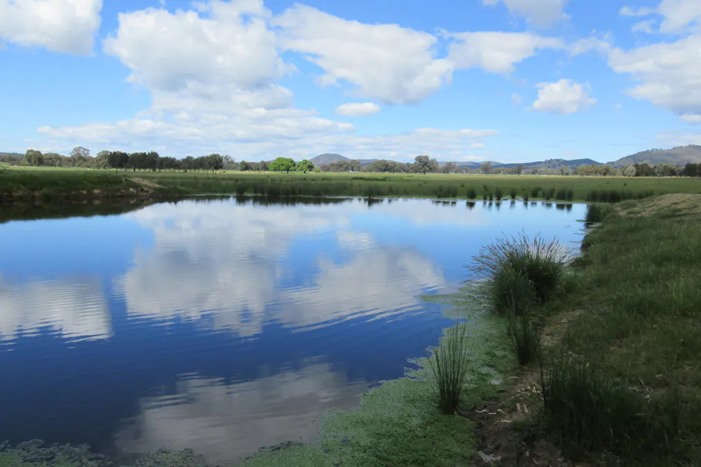 Molyullah-Tatong Road, Molyullah, VIC, 3673 - Image 8