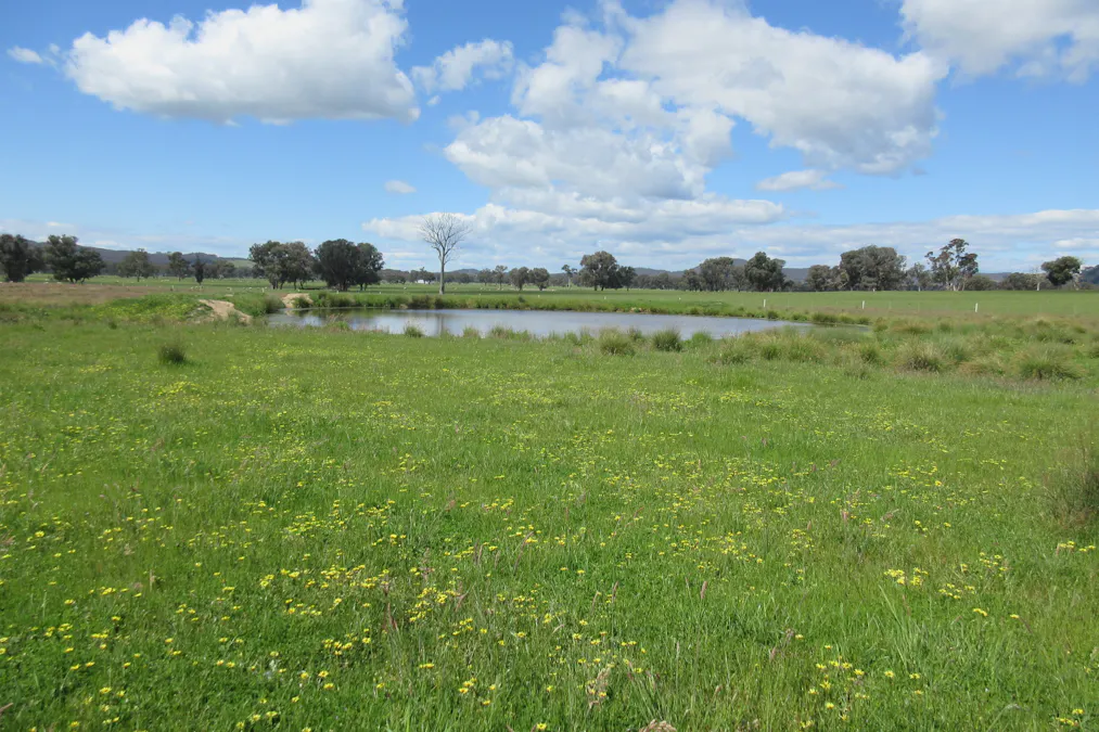 Molyullah-Tatong Road, Molyullah, VIC, 3673 - Image 10