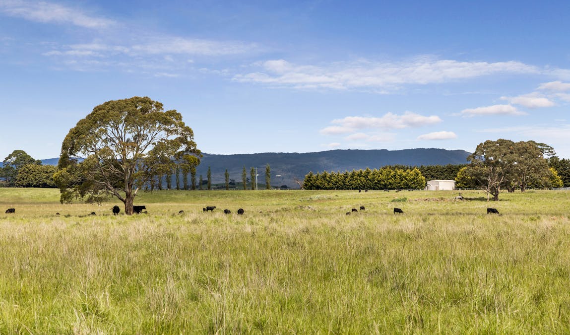 431 Carlsruhe Central Road, Carlsruhe, VIC, 3442 - Image 16