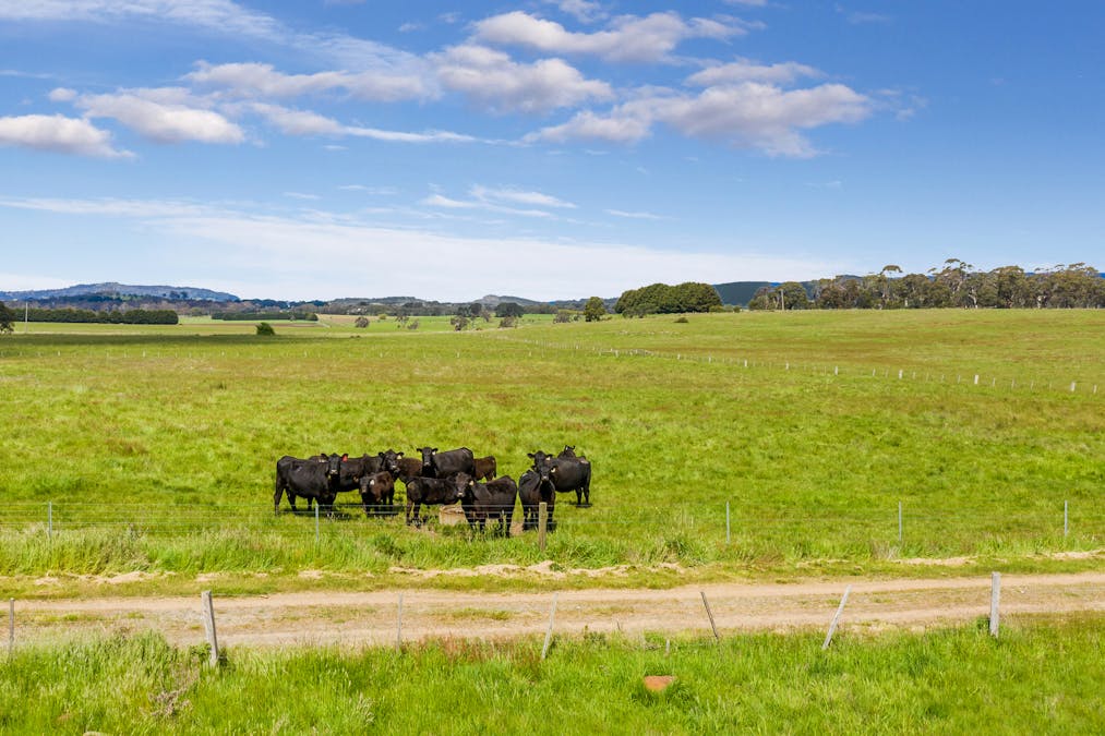 431 Carlsruhe Central Road, Carlsruhe, VIC, 3442 - Image 27