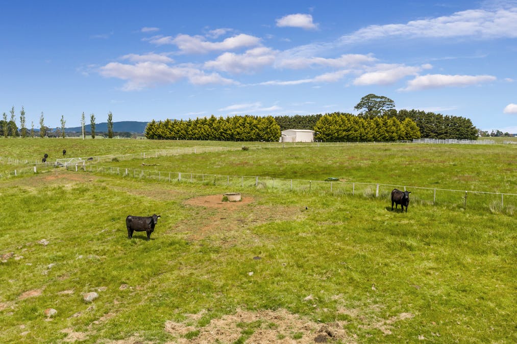 431 Carlsruhe Central Road, Carlsruhe, VIC, 3442 - Image 29