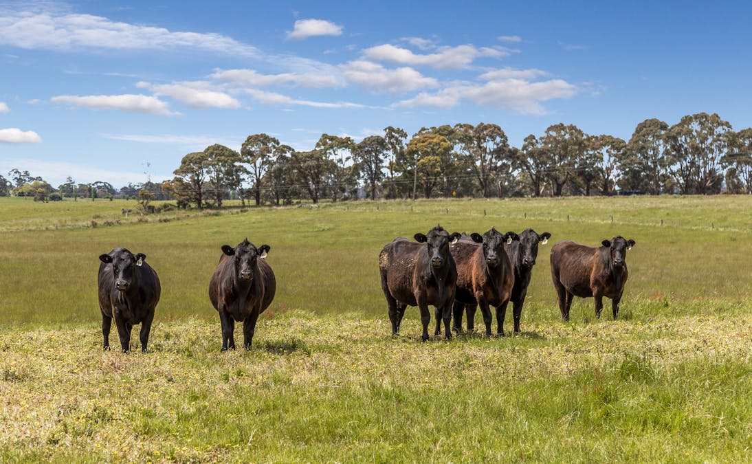 431 Carlsruhe Central Road, Carlsruhe, VIC, 3442 - Image 2