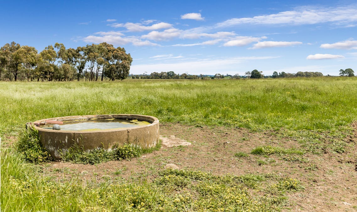 431 Carlsruhe Central Road, Carlsruhe, VIC, 3442 - Image 5