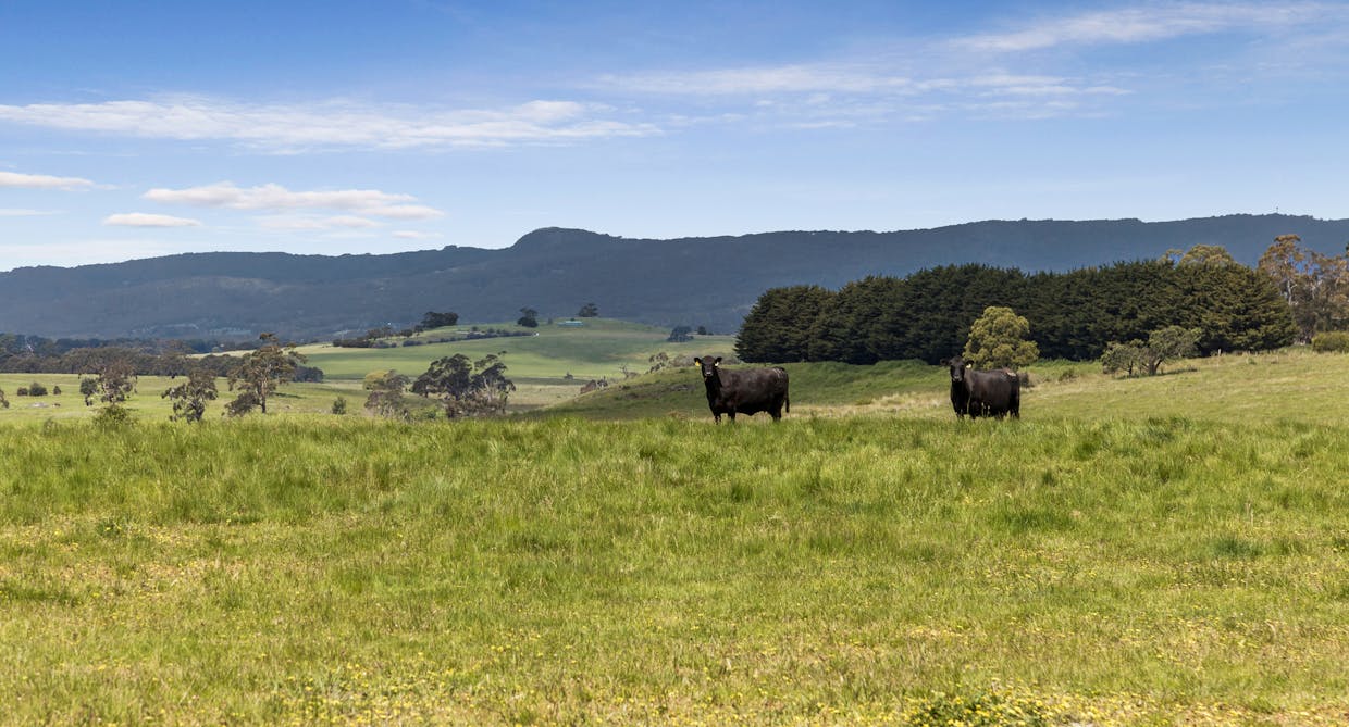 431 Carlsruhe Central Road, Carlsruhe, VIC, 3442 - Image 8
