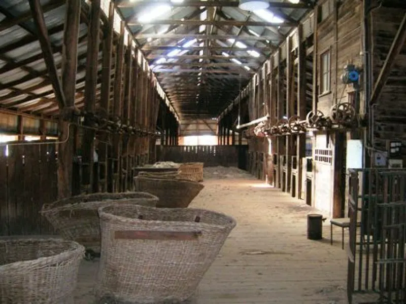 . Perricoota Road, Moama, NSW, 2731 - Image 1