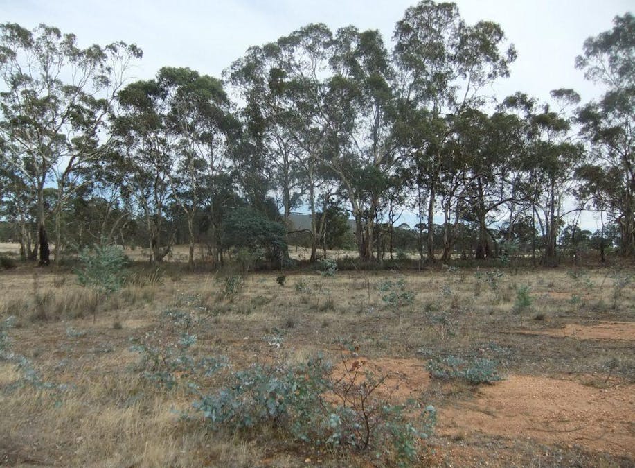 * High Street, Moliagul, VIC, 3472 - Image 2
