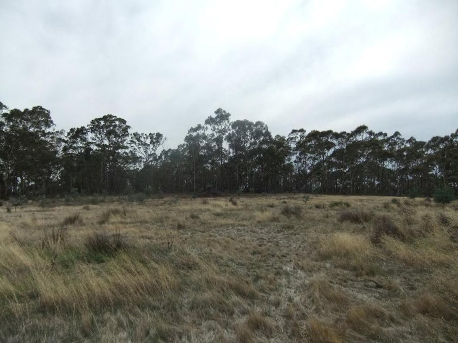 * High Street, Moliagul, VIC, 3472 - Image 5