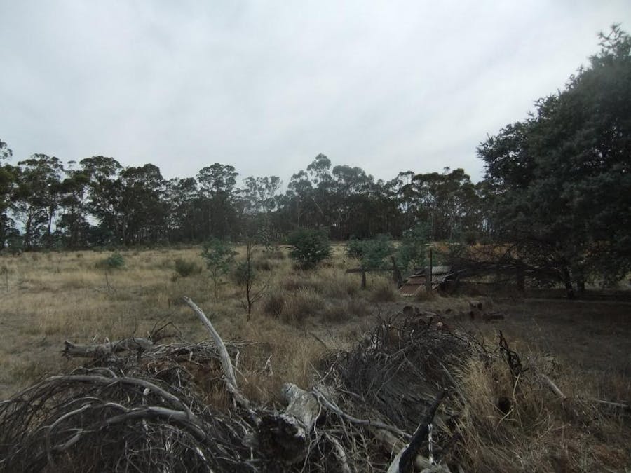 * High Street, Moliagul, VIC, 3472 - Image 6