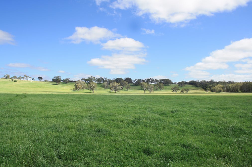 Six Chain Road, Sandford, VIC, 3312 - Image 1