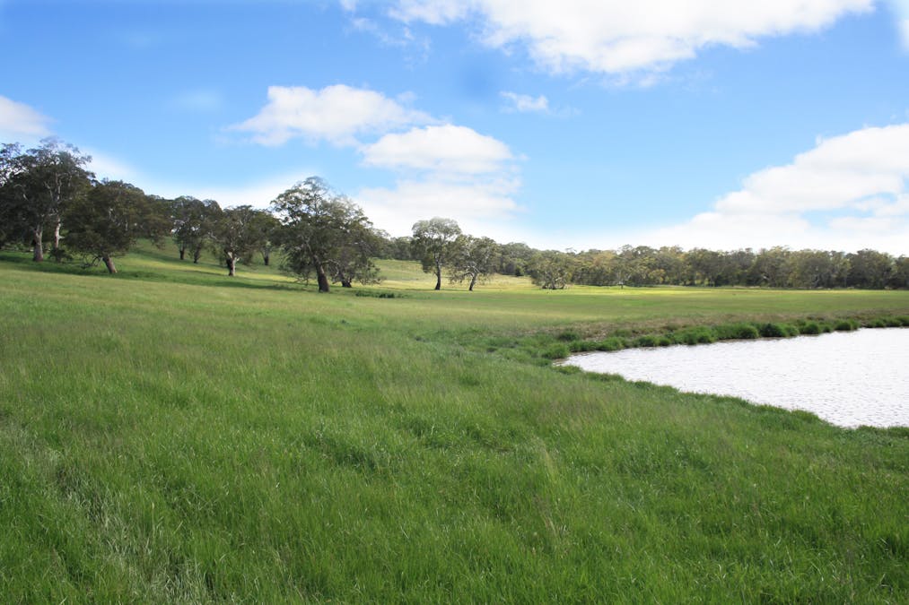 Six Chain Road, Sandford, VIC, 3312 - Image 2