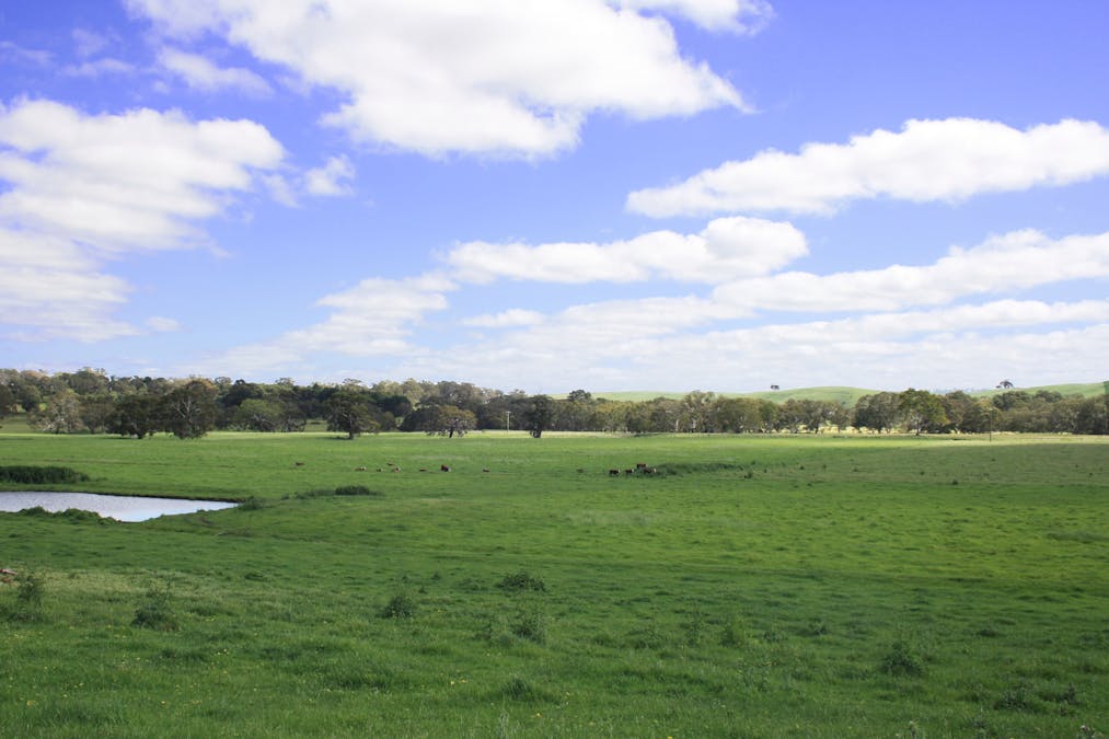 Six Chain Road, Sandford, VIC, 3312 - Image 3