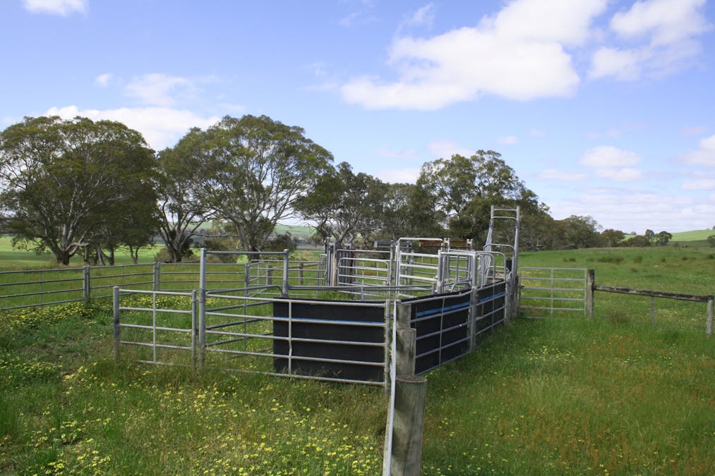 Six Chain Road, Sandford, VIC, 3312 - Image 5
