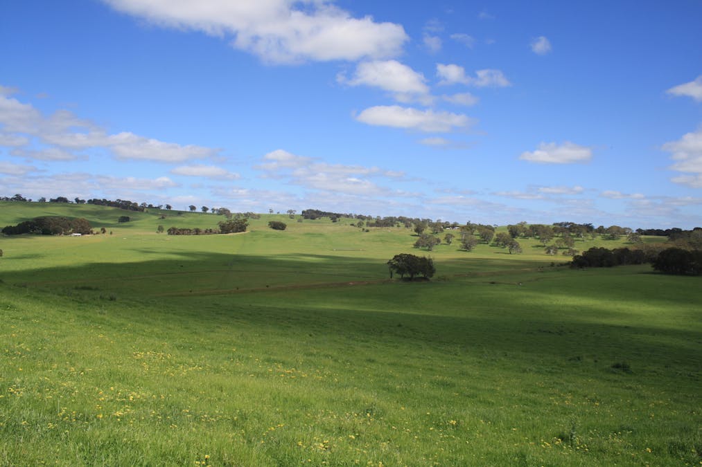 Six Chain Road, Sandford, VIC, 3312 - Image 7