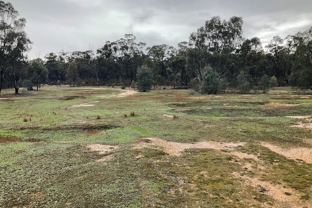 . Little Church Road, Carapooee West, VIC, 3477 - Image 1