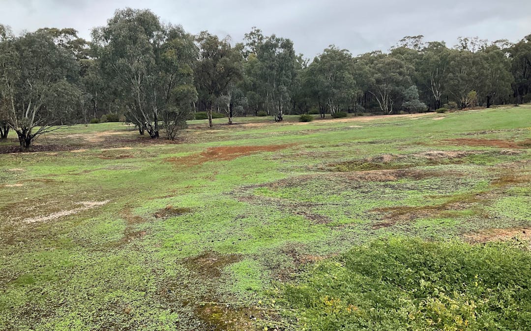 . Little Church Road, Carapooee West, VIC, 3477 - Image 3