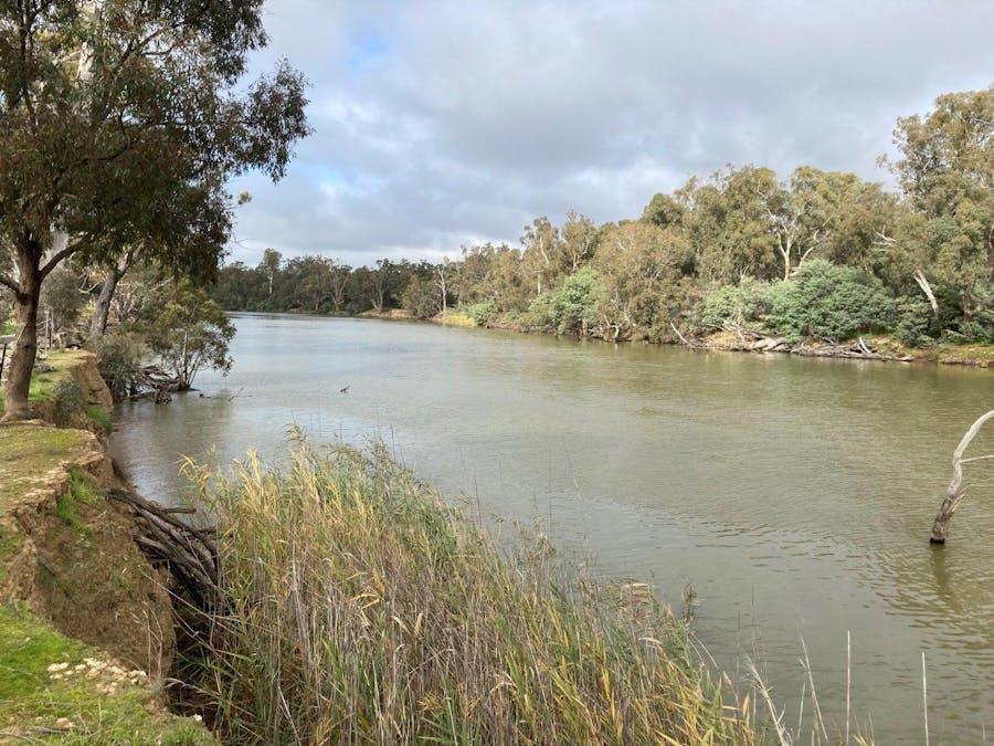 Lot 2 Perricoota Road, Moama, NSW, 2731 - Image 1