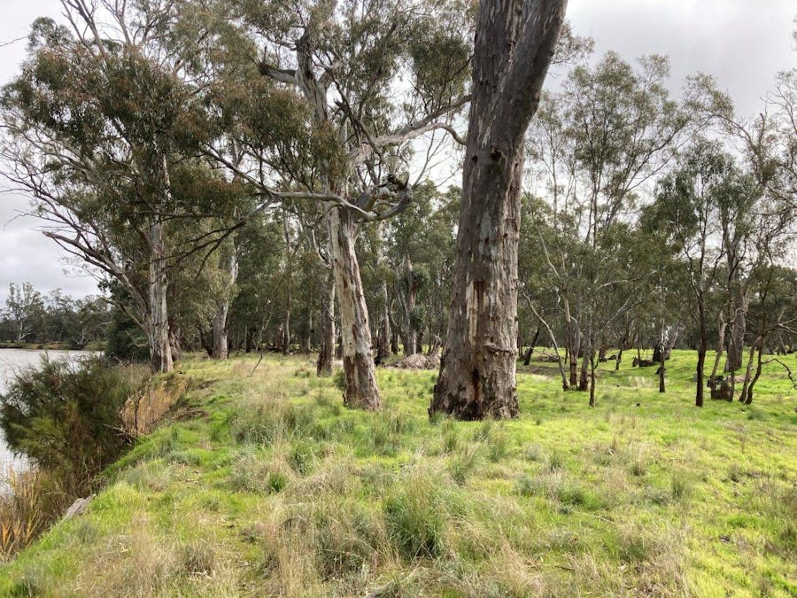 Lot 2 Perricoota Road, Moama, NSW, 2731 - Image 2
