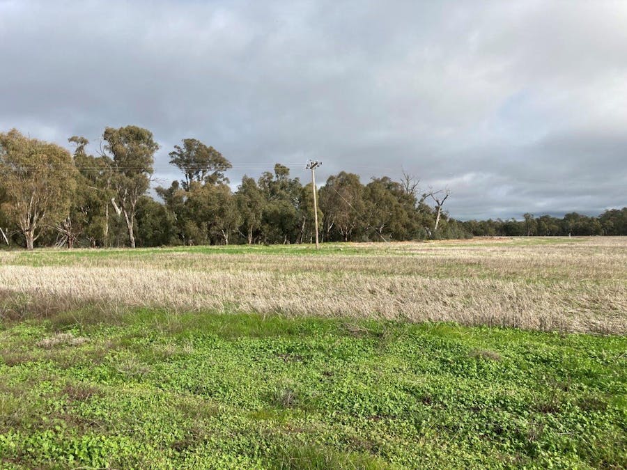 Lot 2 Perricoota Road, Moama, NSW, 2731 - Image 3