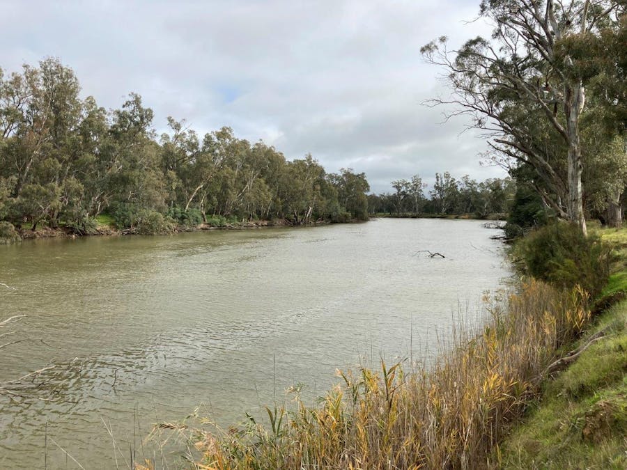 Lot 2 Perricoota Road, Moama, NSW, 2731 - Image 4