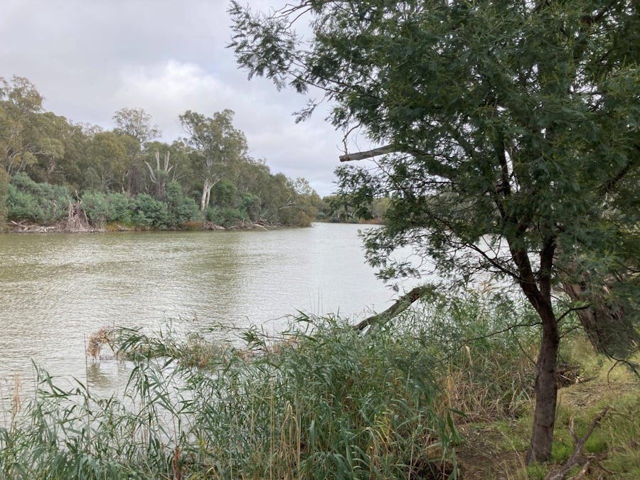 Lot 2 Perricoota Road, Moama, NSW, 2731 - Image 5