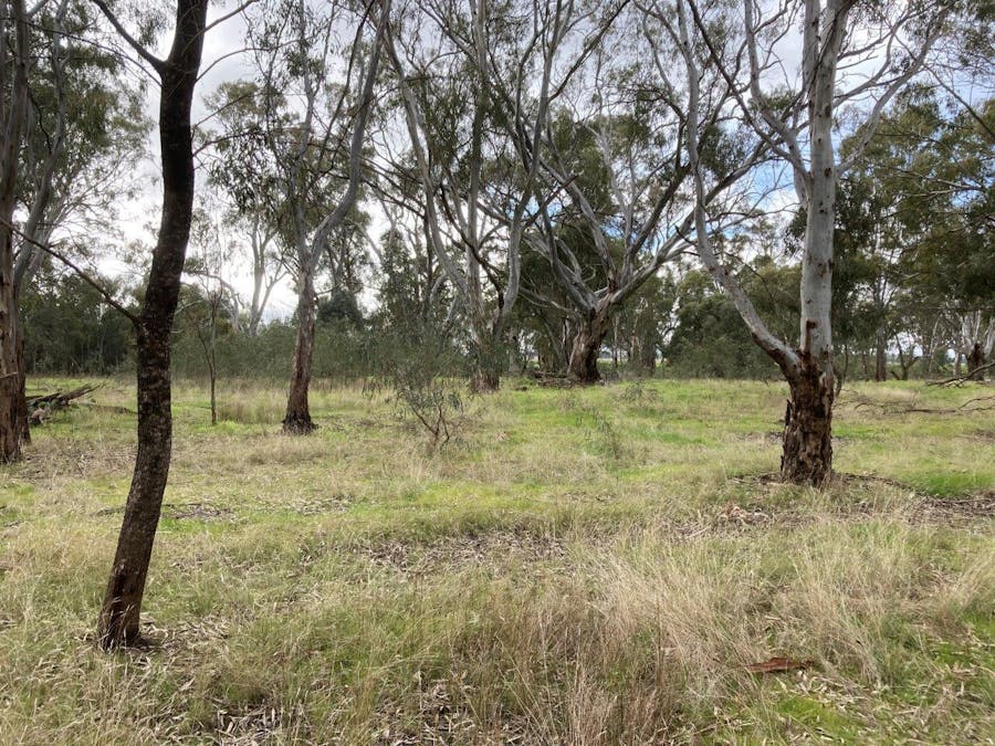 Lot 2 Perricoota Road, Moama, NSW, 2731 - Image 7